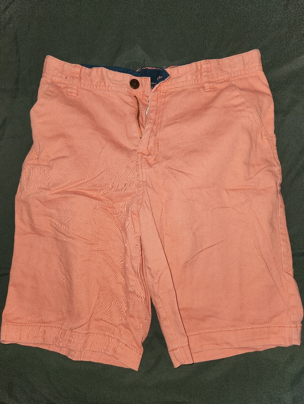 Coral Shorts Size 18